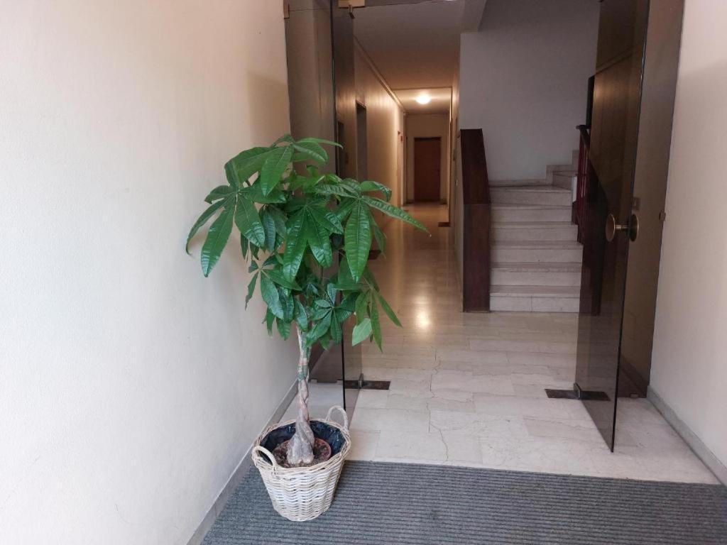 شقة In Blu Santo Ospedale بادوفا المظهر الخارجي الصورة